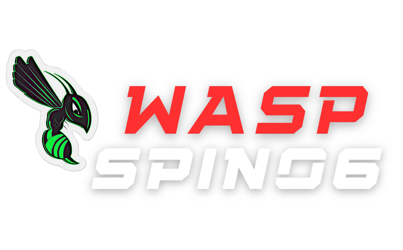 waspspin06.org